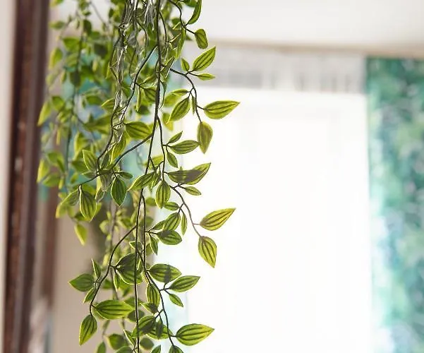 Your Trip アパート